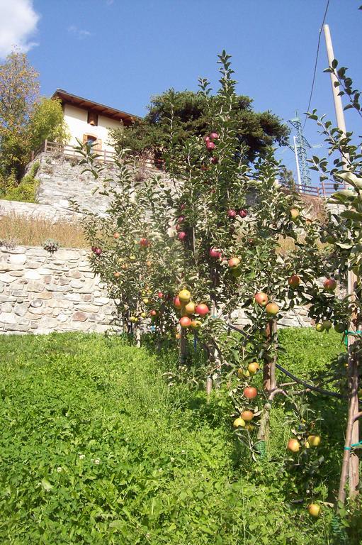 Agriturismo Au Jardin Fleuri Antey-Saint-André Exterior foto